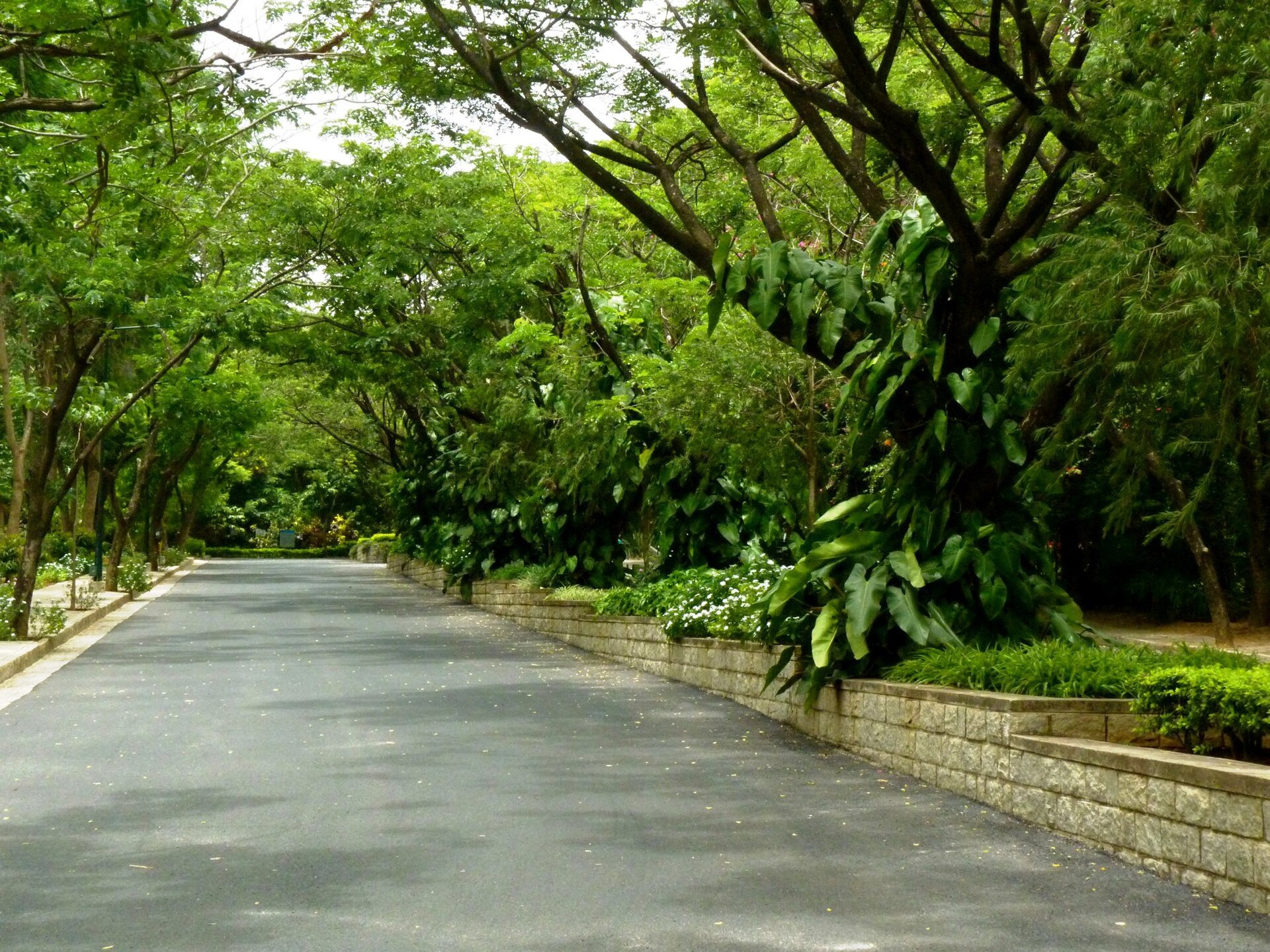 Indian Institute of Management Bangalore campus